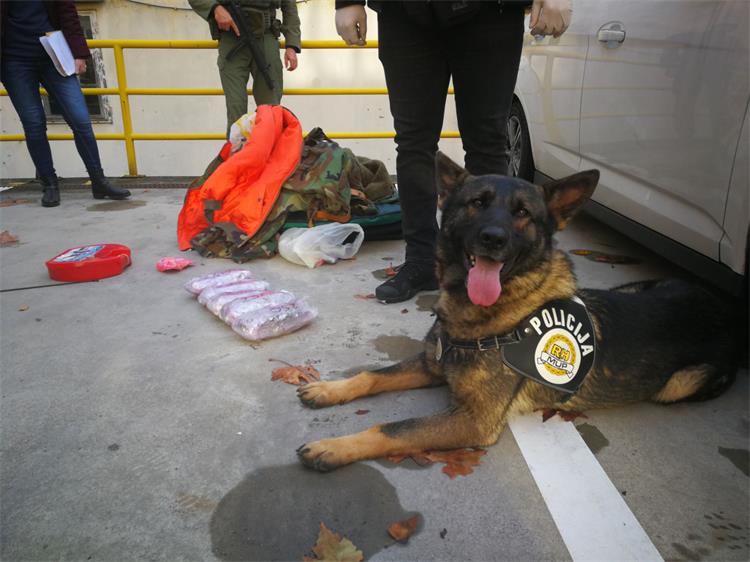 Slika /A Nove Fotke/Kvarner5.jpg